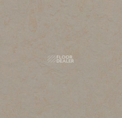 Линолеум Forbo Marmoleum Decibel on Order 370635 beton фото 1 | FLOORDEALER
